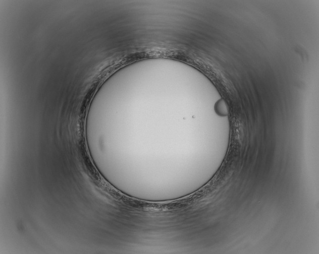 X0000110970690200906191111