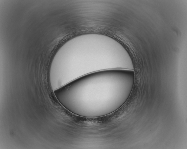 X0000110970693200906191111