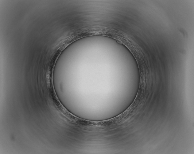 X0000110970696200906191111