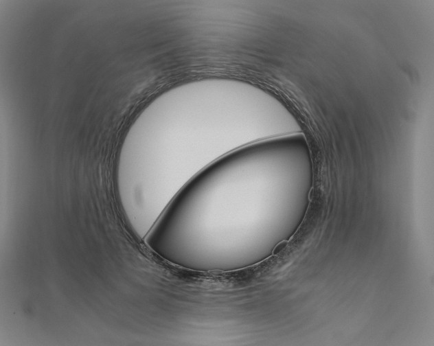 X0000110970697200906191111