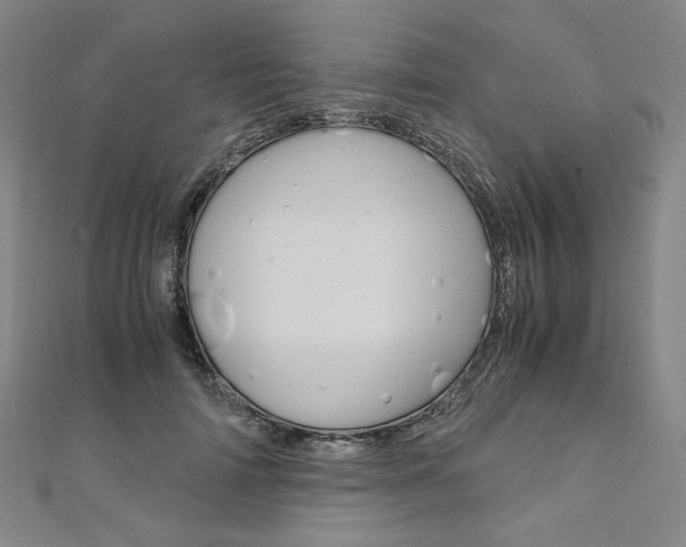 X0000110970698200906191111