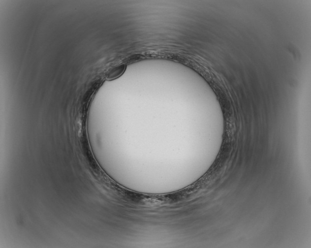 X0000110970703200906191111