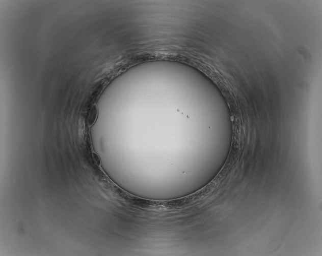 X0000110970704200906191111