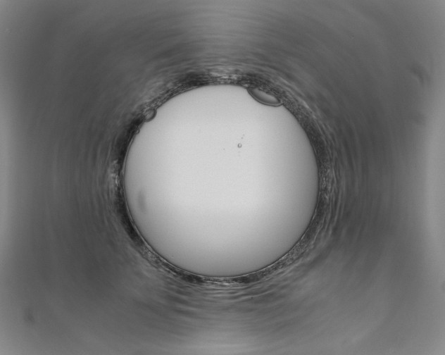 X0000110970707200906191111