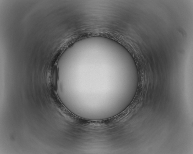 X0000110970708200906191111