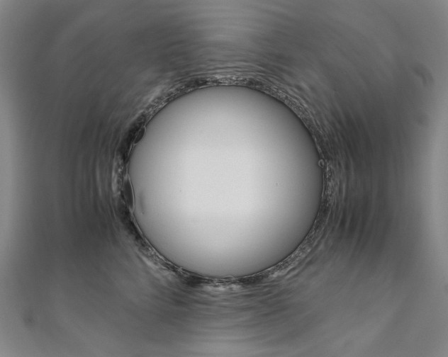 X0000110970712200906191111