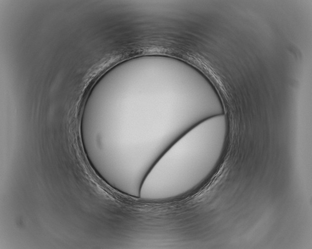 X0000110970721200906191110