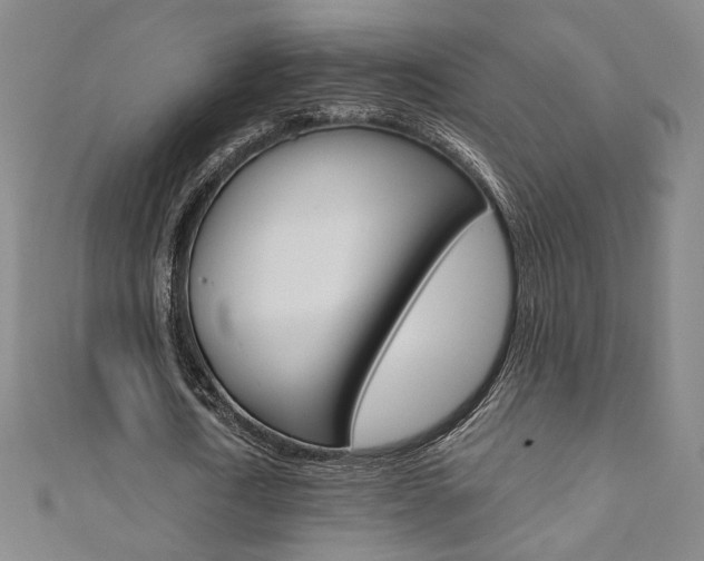 X0000110970722200906191110