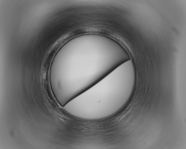 X0000110970723200906191110