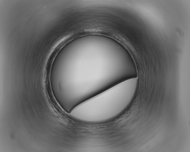 X0000110970724200906191110