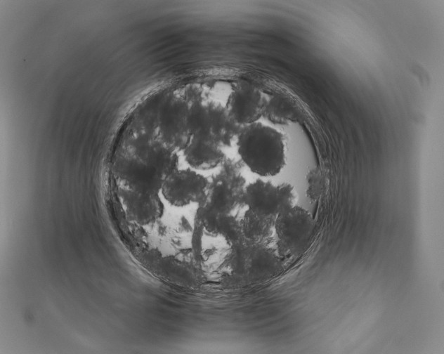 X0000110970725200906191110