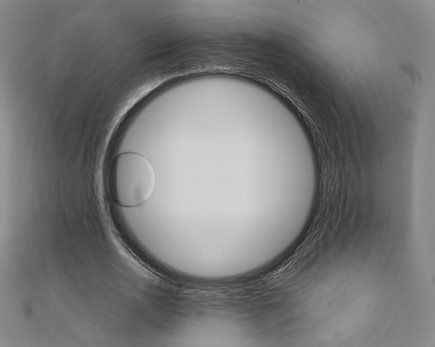 X0000110970726200906191110