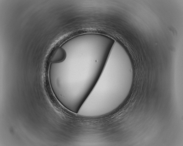X0000110970728200906191110