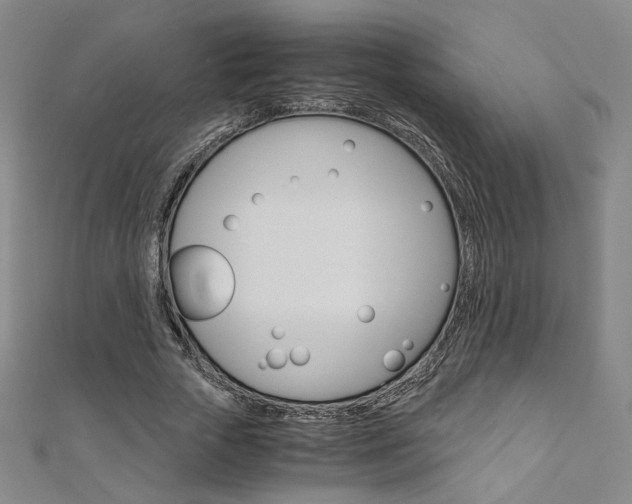 X0000110970729200906191110