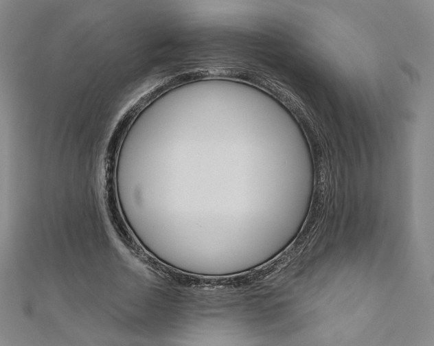 X0000110970730200906191110
