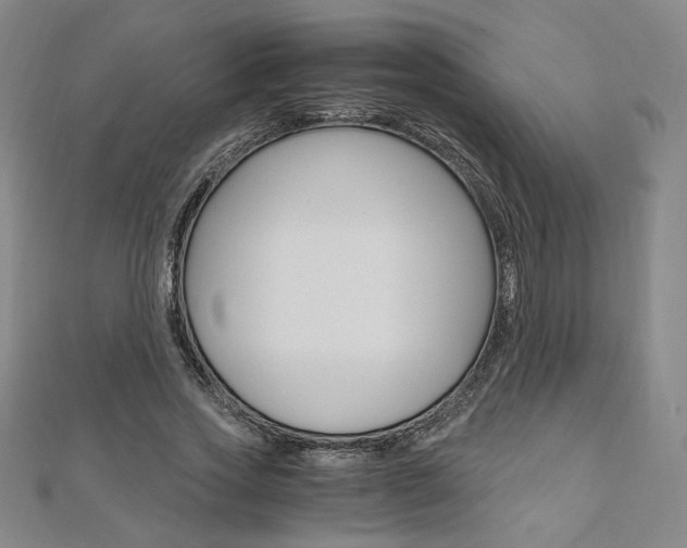 X0000110970733200906191110