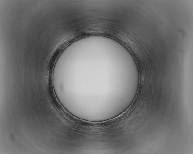 X0000110970735200906191110