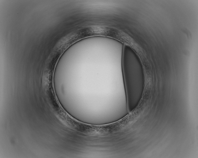 X0000110970736200906191110