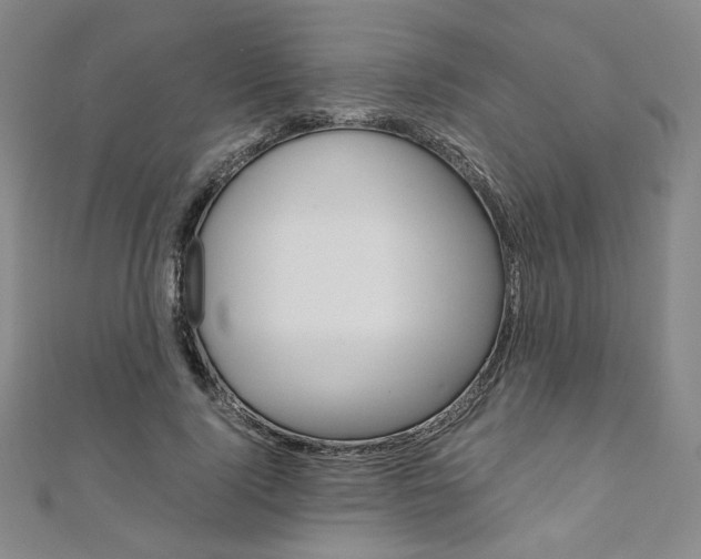 X0000110970740200906191110