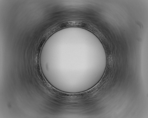 X0000110970741200906191111