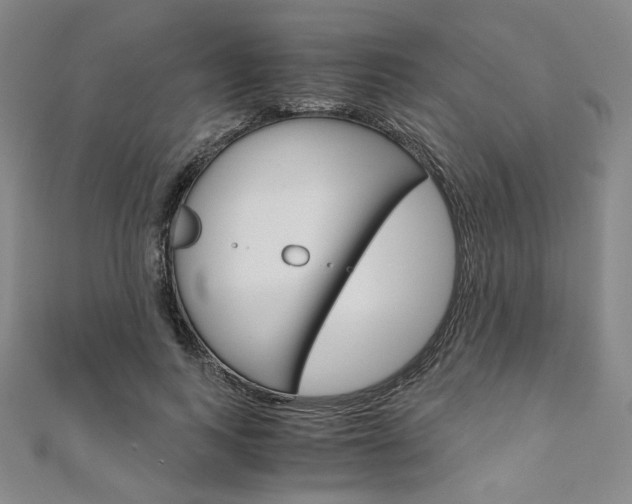 X0000110970743200906191111