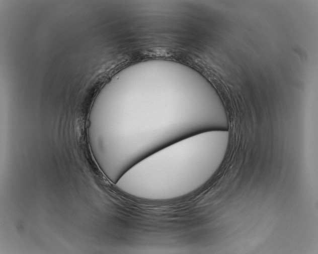 X0000110970747200906191111