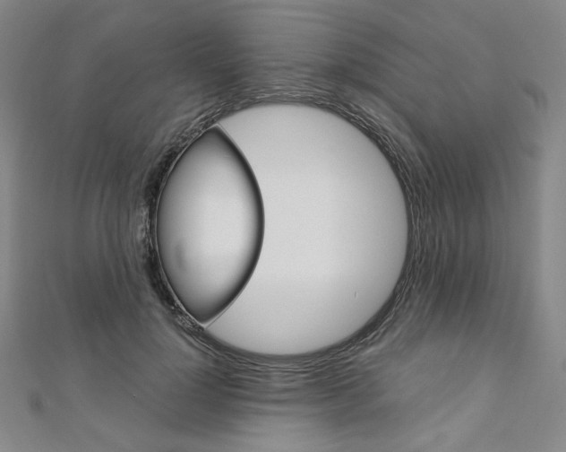 X0000110970748200906191111
