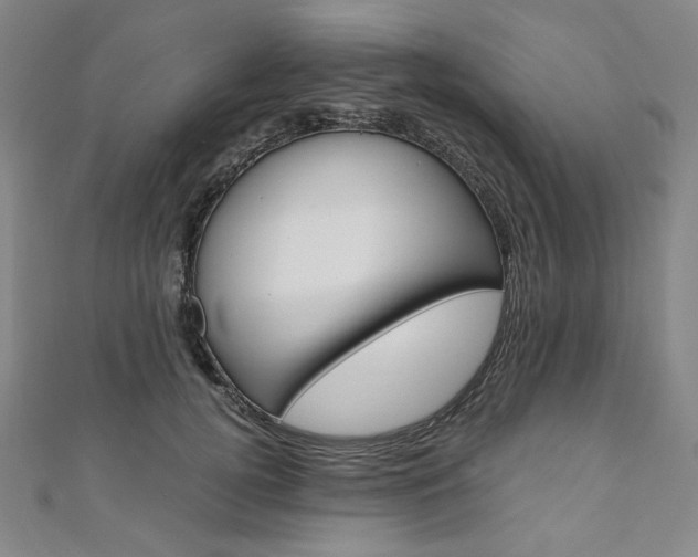 X0000110970752200906191111