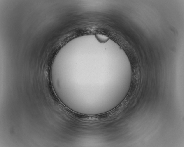 X0000110970754200906191111