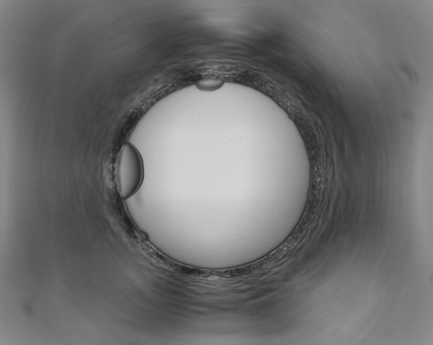 X0000110970755200906191111