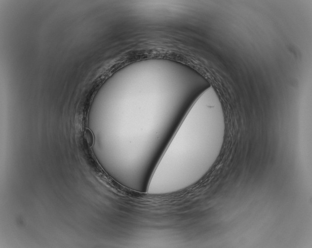 X0000110970756200906191111