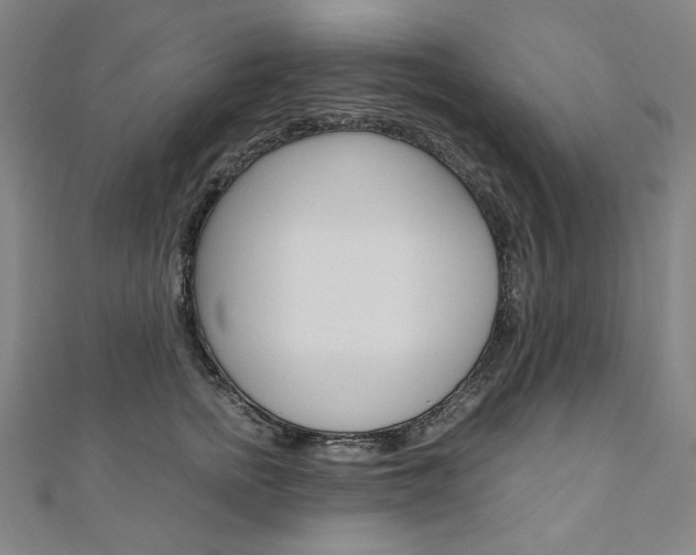 X0000110970758200906191111
