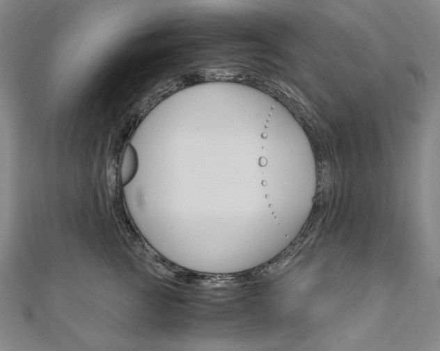 X0000110970761200906191111