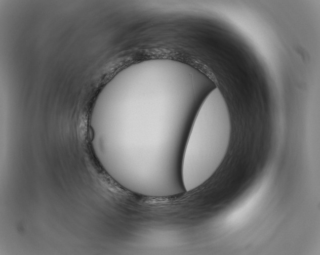 X0000110970767200906191111