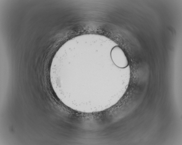 X0000110970769200906191110