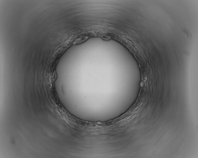 X0000110970772200906191110