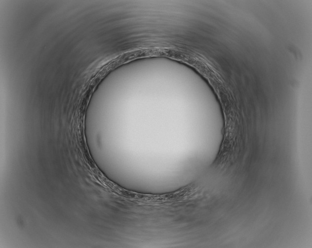 X0000110970773200906191110