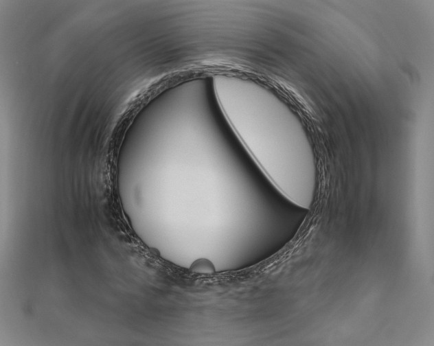 X0000110970776200906191110