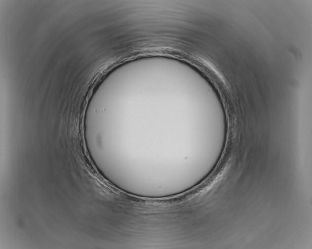 X0000110970777200906191110