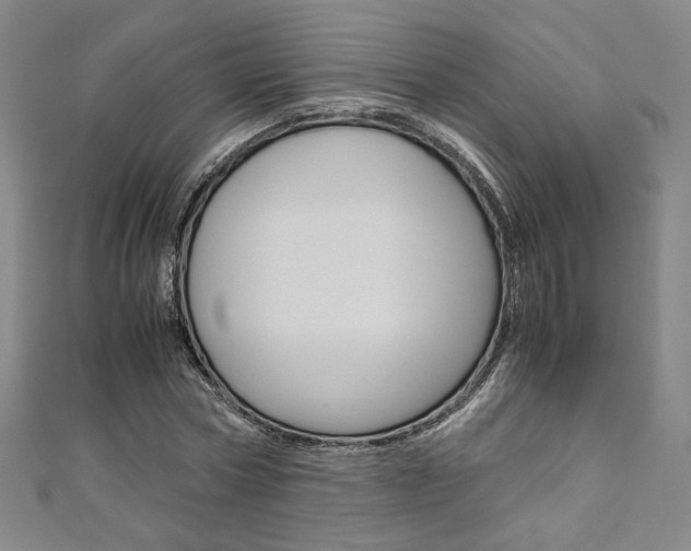X0000110970778200906191110