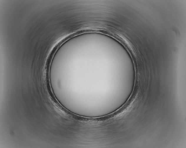 X0000110970779200906191110