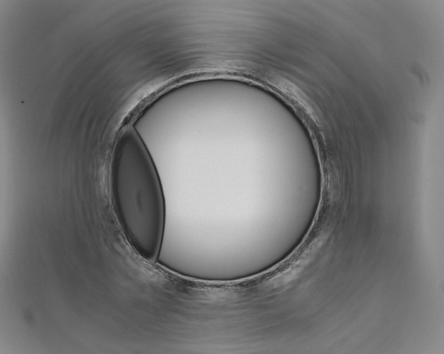 X0000110970781200906191110