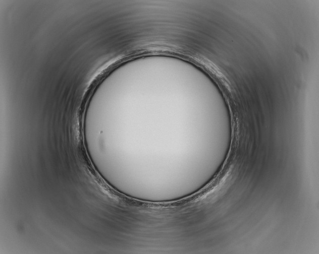 X0000110970782200906191110