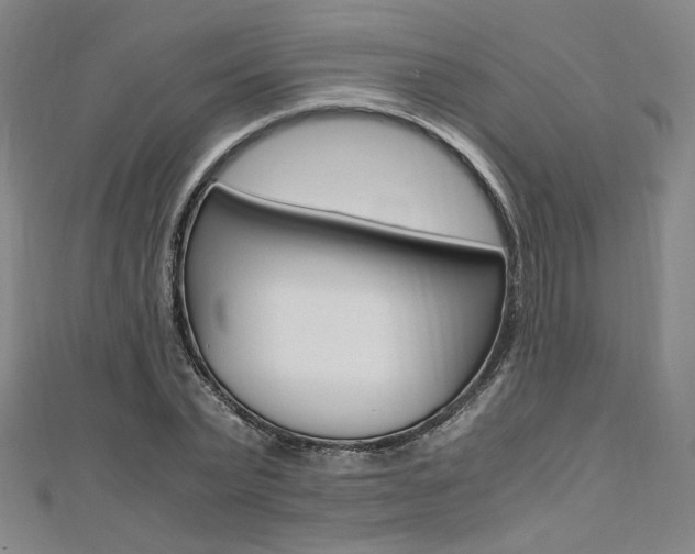 X0000110970783200906191110
