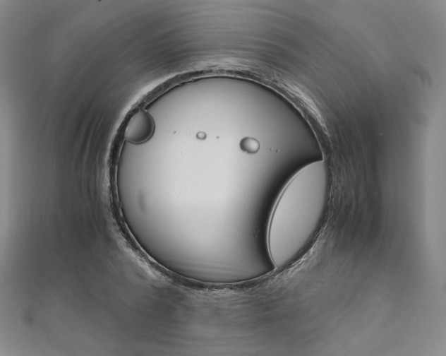 X0000110970784200906191110