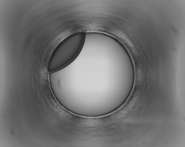 X0000110970785200906191110