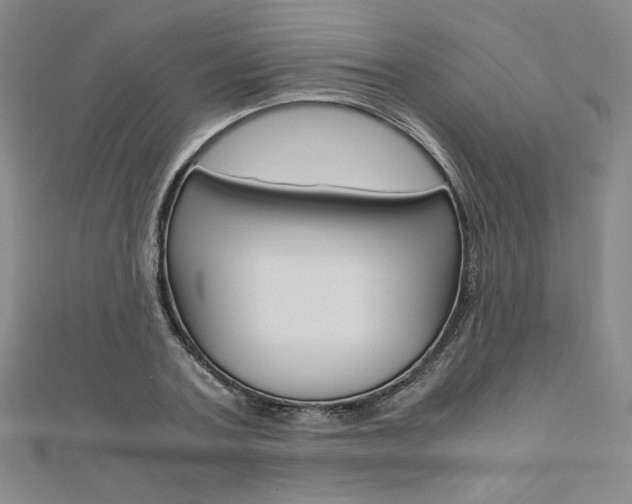 X0000110970787200906191110