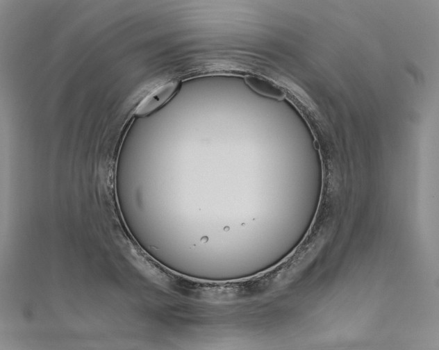 X0000110970793200906191110