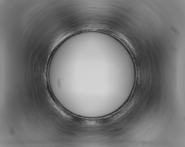 X0000110970794200906191110