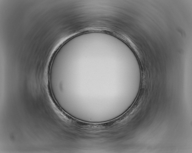 X0000110970795200906191110